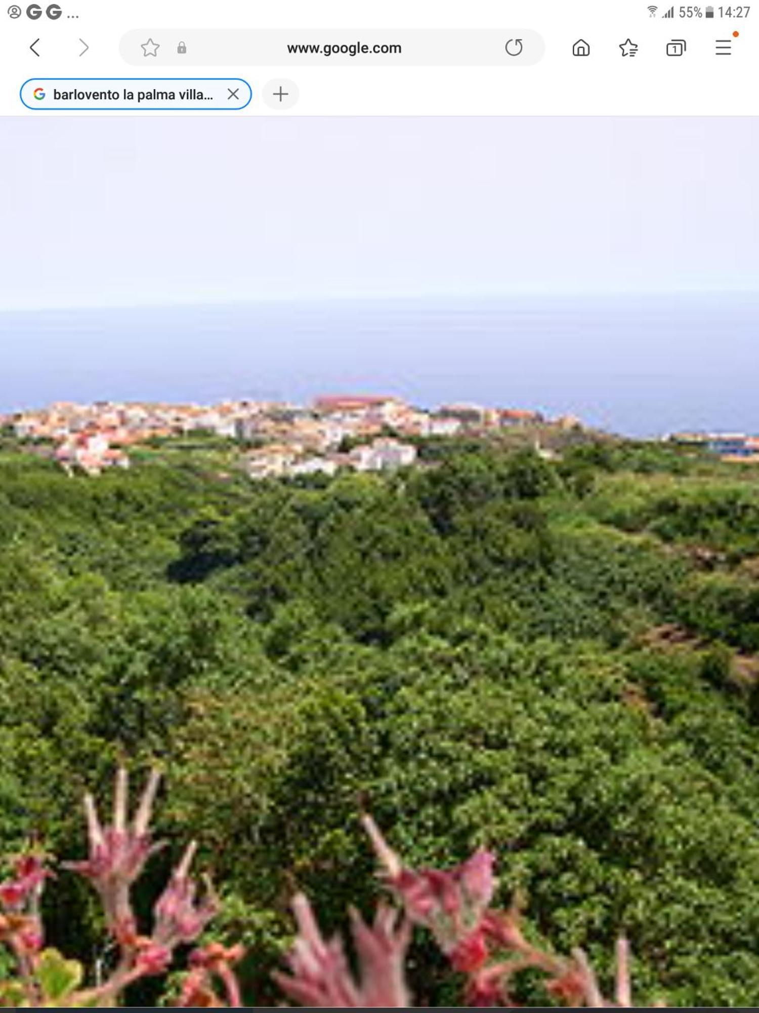 Terraza Del Atlantico 1 + 2 Leilighet Barlovento Eksteriør bilde